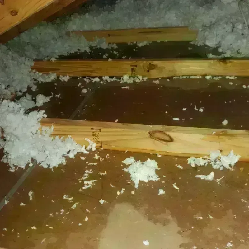 Attic Water Damage in Fruitridge Pocket, CA